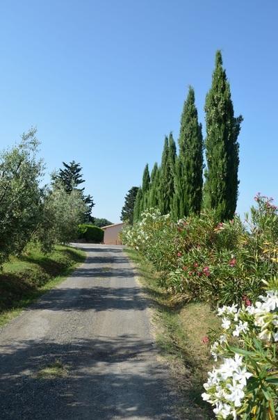 Agriturismo Rosa Dei Venti Помаранче Экстерьер фото